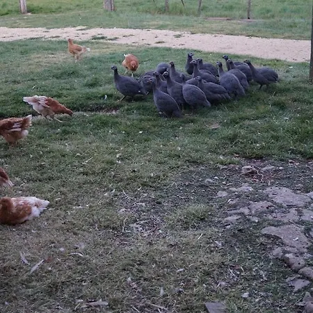 La Malinerie بيت للعطل *