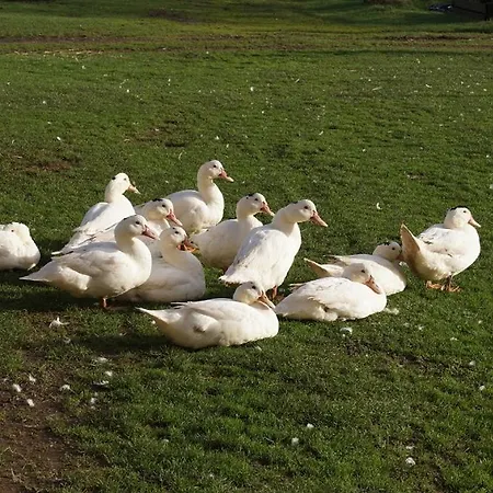 La Malinerie بيت للعطل