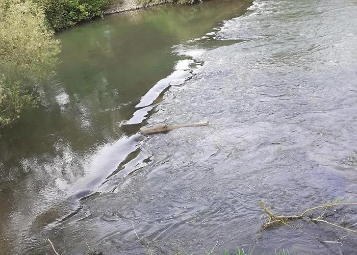 La Malinerie Allonnes (Sarthe)