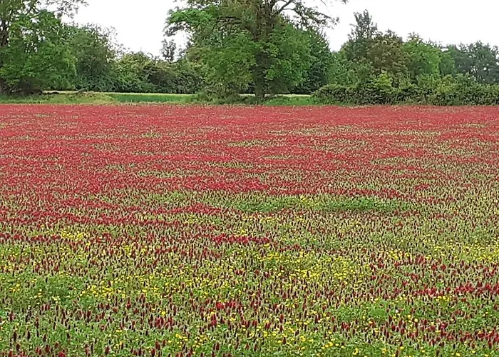 Casa de Férias La Malinerie