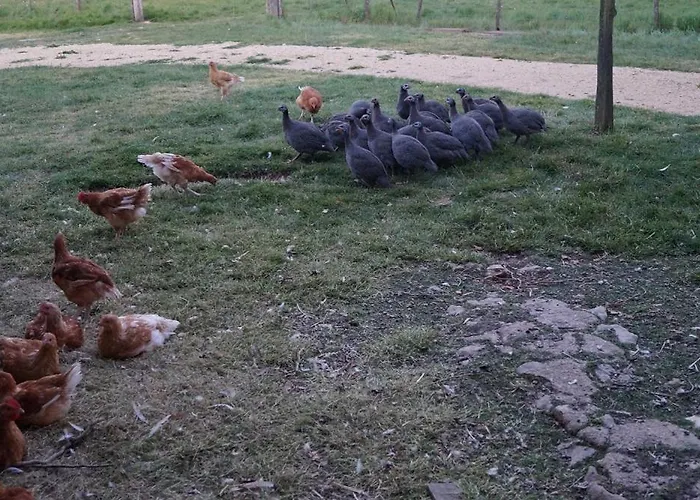 La Malinerie Casa de Férias *