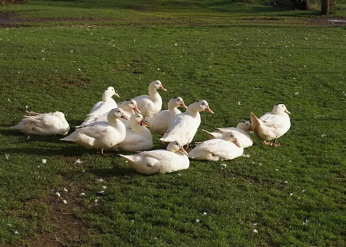 La Malinerie Дом отдыха